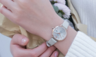 卡西欧官方商城 卡西欧指针女士手表，优雅大方有质感