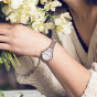 卡西欧手表 SHEEN  人造蓝宝石玻璃太阳能动力精致优雅时尚女表SHE-4522