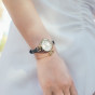 卡西欧手表 SHEEN  手镯式表带设计 时尚简约 特殊礼盒包装 防水优雅女表SHE-4536GL