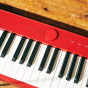 卡西欧电子乐器 电钢琴  88键重锤智能数码电子钢琴（含琴架+三踏板）PX-S1100