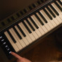 卡西欧电子乐器 电钢琴  家用专业电子数码钢琴AP-S450