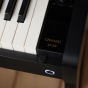 卡西欧电子乐器 电钢琴  家用专业电子数码钢琴AP-550