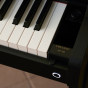 卡西欧电子乐器 电钢琴  家用专业电子数码钢琴AP-750