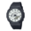 GA-2100WD-1APR