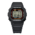 DW-5600RL-1PR