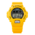 DW-6900TR-9PR