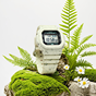 卡西欧手表 G-SHOCK  【新品】【直营专供】时尚防水防震运动表款G-5600BG-5DR
