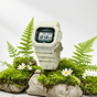 卡西欧手表 G-SHOCK  【新品】【直营专供】时尚防水防震运动表款G-5600BG-5DR