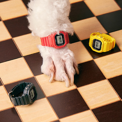 卡西欧手表 G-SHOCK  时尚潮流 nano戒指手表DWN-5600