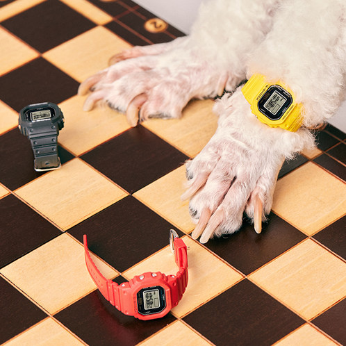 卡西欧手表 G-SHOCK  【新品】时尚潮流 NANO戒指手表套组DWN-5600