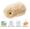 可爱小MO套组 金色 